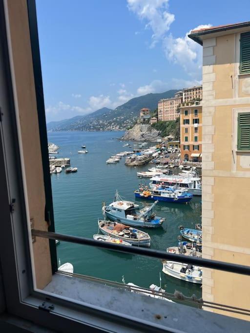 Apartamento Attico Sul Porticciolo Antico Di Camogli Exterior foto